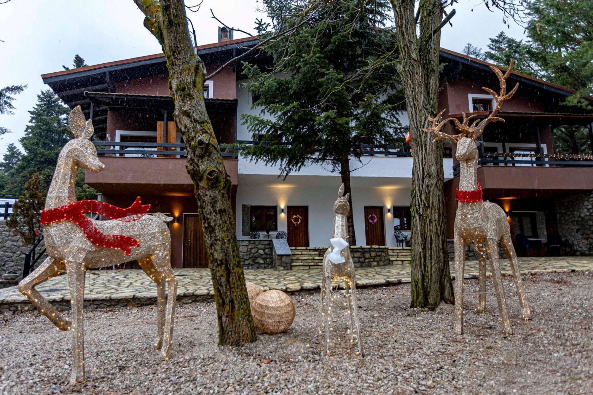 Hotel Mz Reindeer Kalívia Zewnętrze zdjęcie