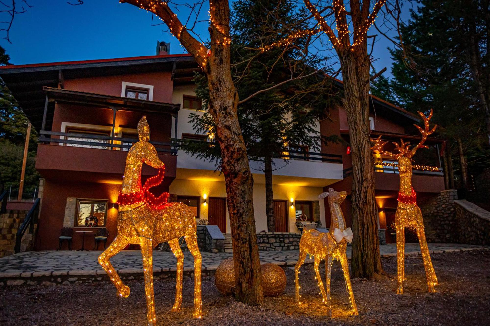 Hotel Mz Reindeer Kalívia Zewnętrze zdjęcie