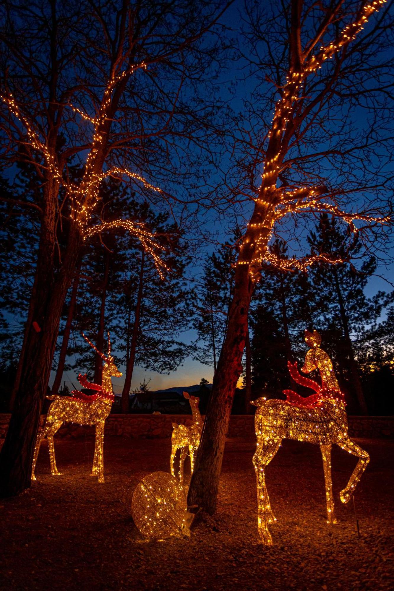 Hotel Mz Reindeer Kalívia Zewnętrze zdjęcie