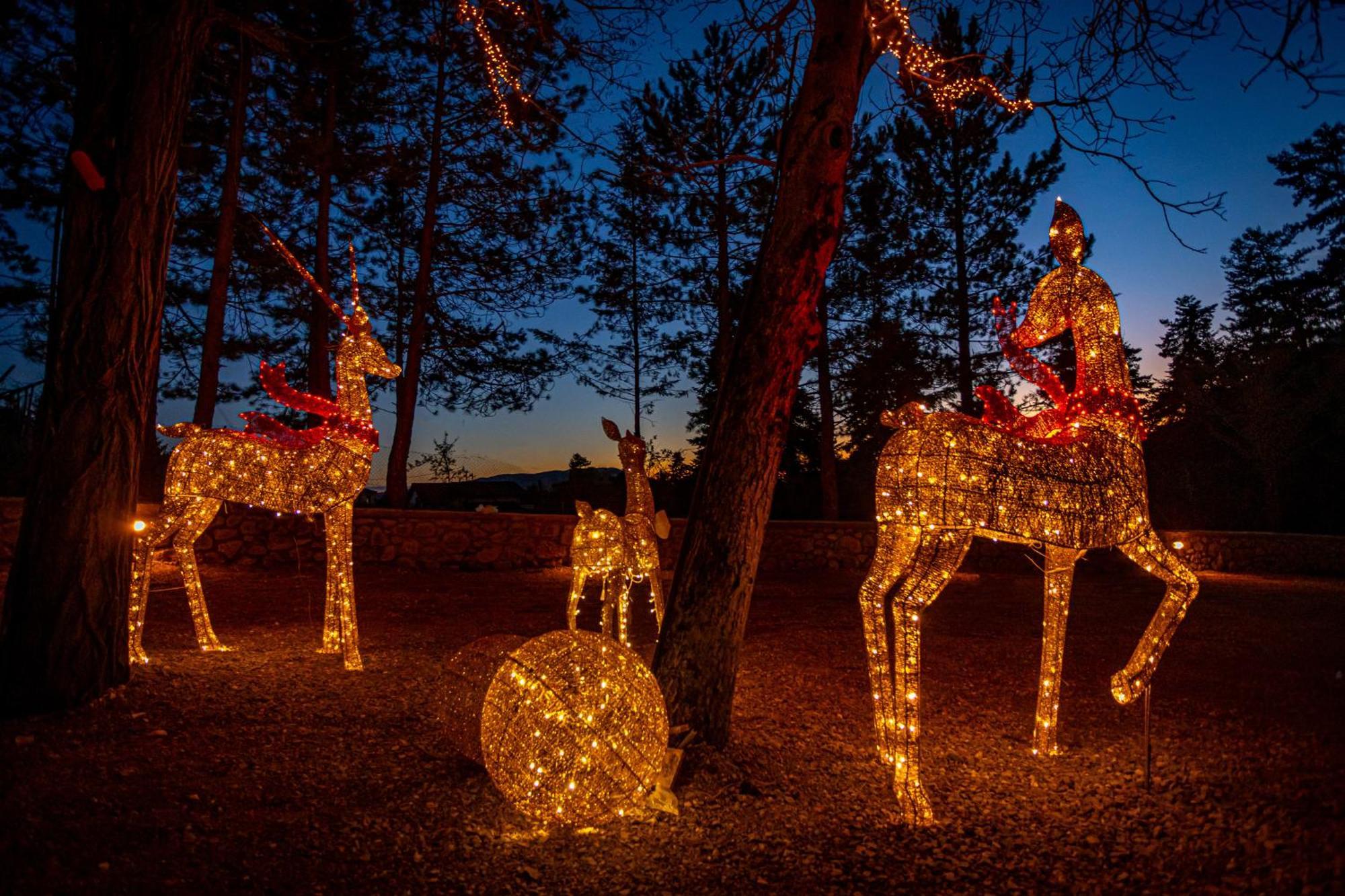 Hotel Mz Reindeer Kalívia Zewnętrze zdjęcie